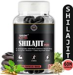 Shudh Kaama Original Shilajit with Ashwagandha Gokshura Safed-Musli | Performance & Stamina (60 Capsules)