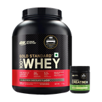 Optimum Nutrition (ON) Gold standard 100% Whey Protein (1.7 kg, Double Rich Chocolate)