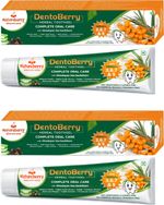 NATUREBERRY Dentoberry Herbal Toothgel with Himalayan Sea Buckthorn | Complete Oral Care Toothpaste (300 g, Pack of 2)