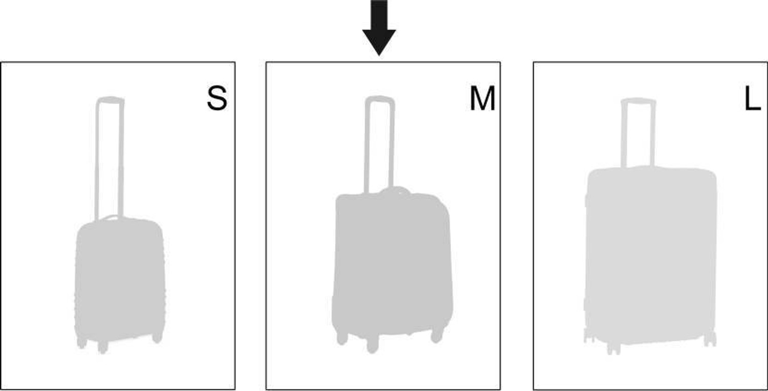 Image of SKYBAGS Westport Check-in Suitcase 4 Wheels - 25 inch