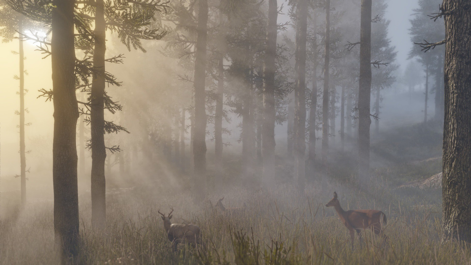 Image of Red Dead Redemption 2