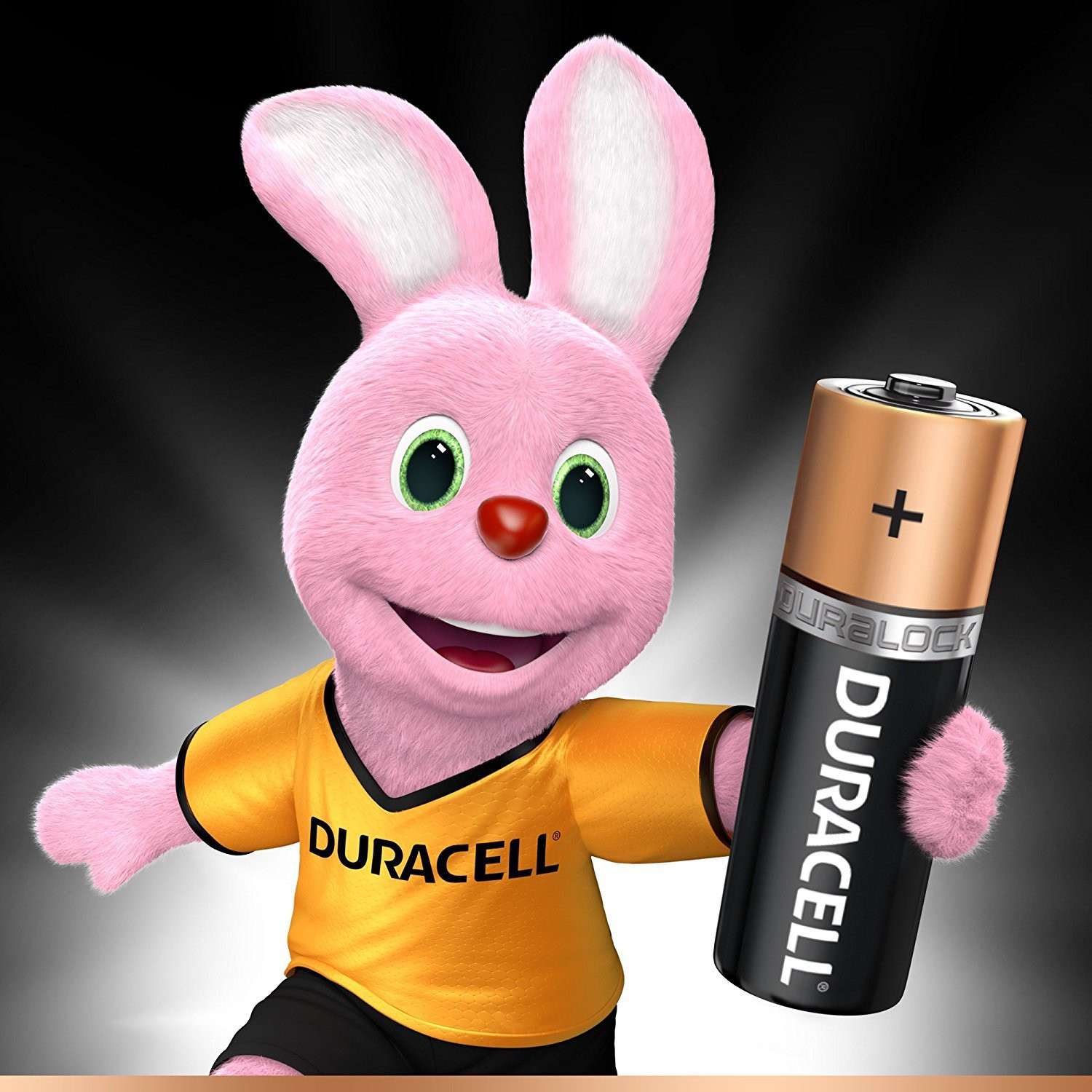 Image of DURACELL AA Battery