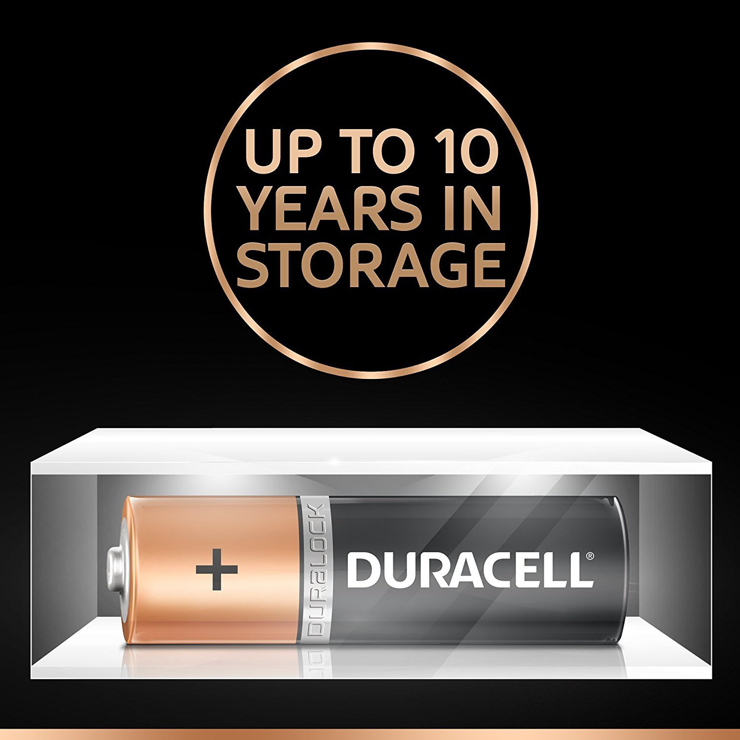 Image of DURACELL AA Battery