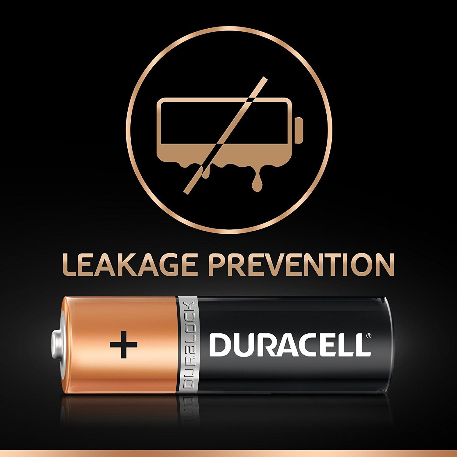 Image of DURACELL AA Battery