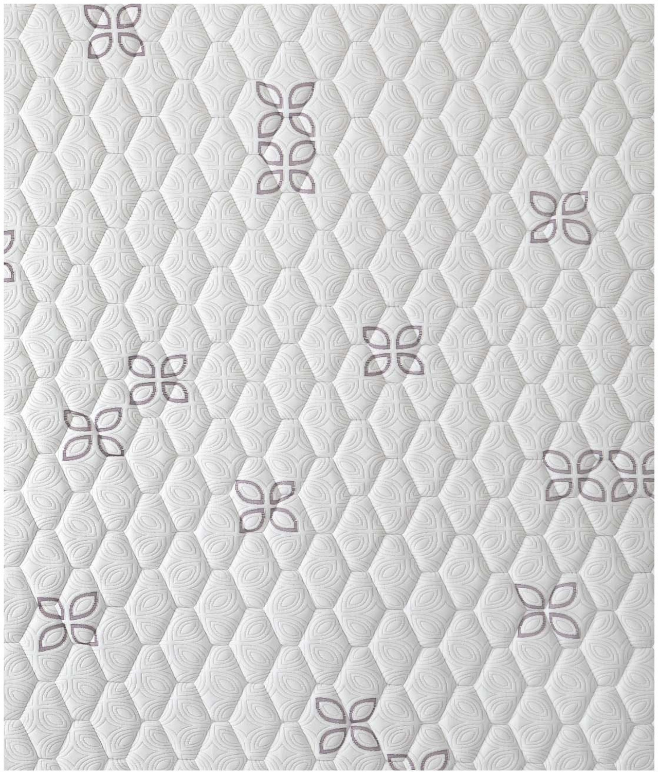 Image of AMORE Reboot Eurotop 8 inch Single Pocket Spring Mattress