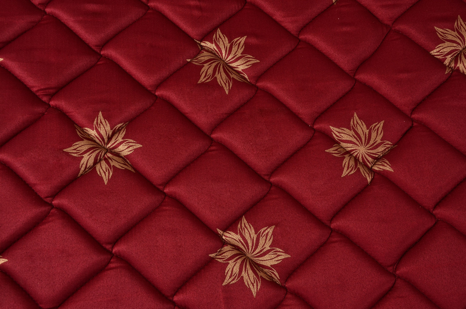 Image of SPRINGTEK Amaze Eco 4 inch Queen High Density (HD) Foam Mattress