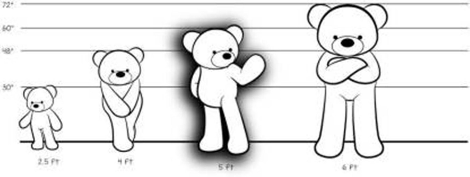 Image of tas Teddy Bear for Your Love 6 Feet - Brown Color (6ft-Teddy-Brown-N) - 72 inch