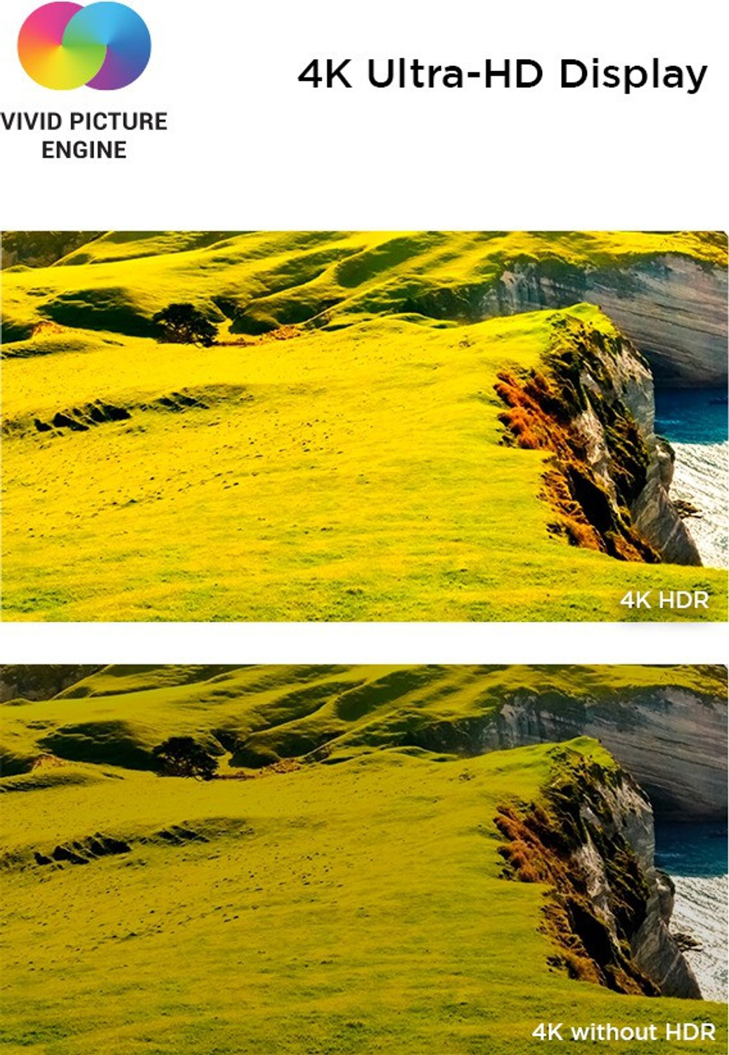 Image of XIAOMI 4X 108 cm (43 inch) Ultra HD (4K) LED Smart Android TV