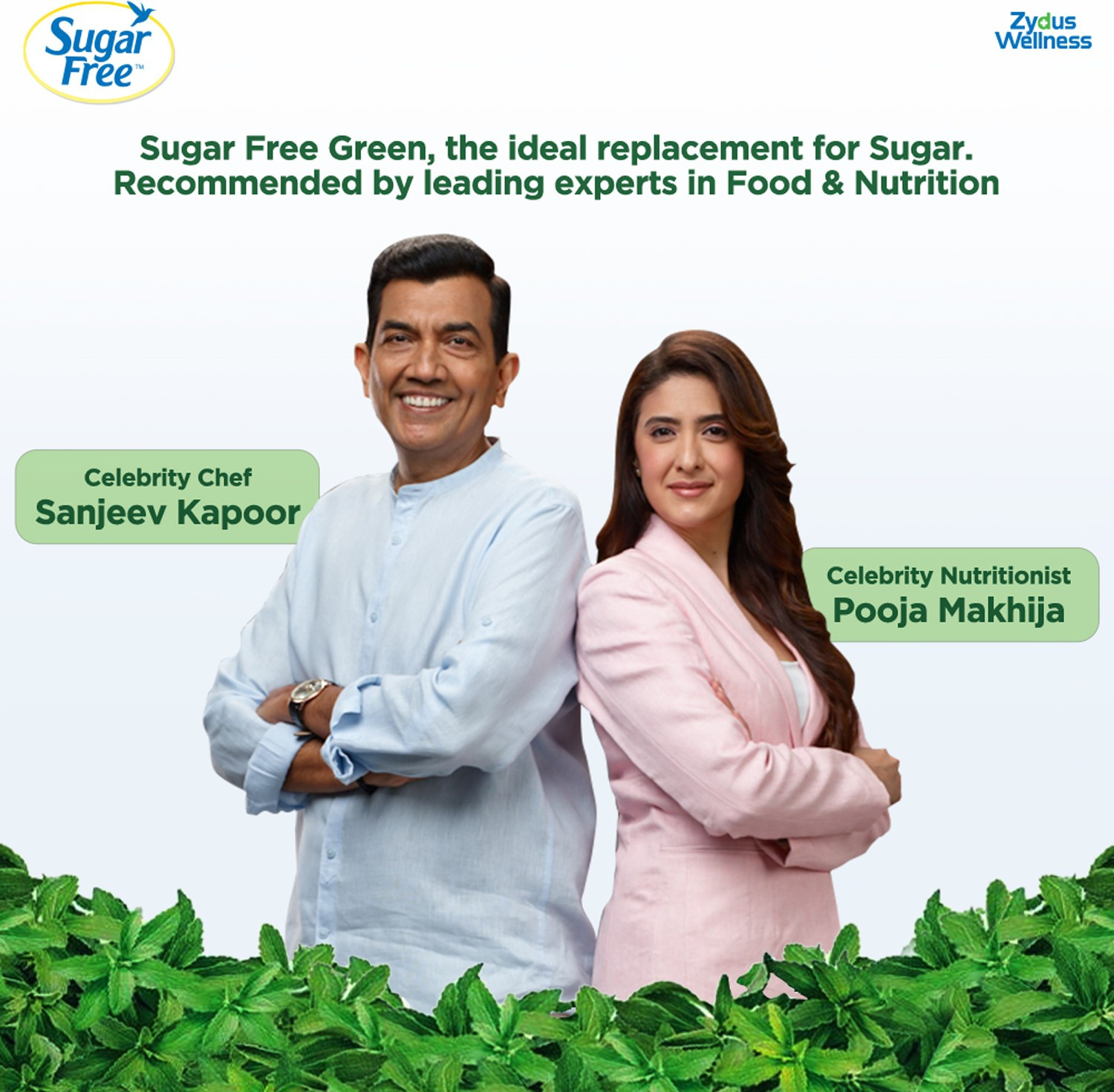 Image of Sugar free Green Stevia, 400 g Pouch |Made from 100% Natural Meethi Tulsi (Stevia) leaves Sweetener