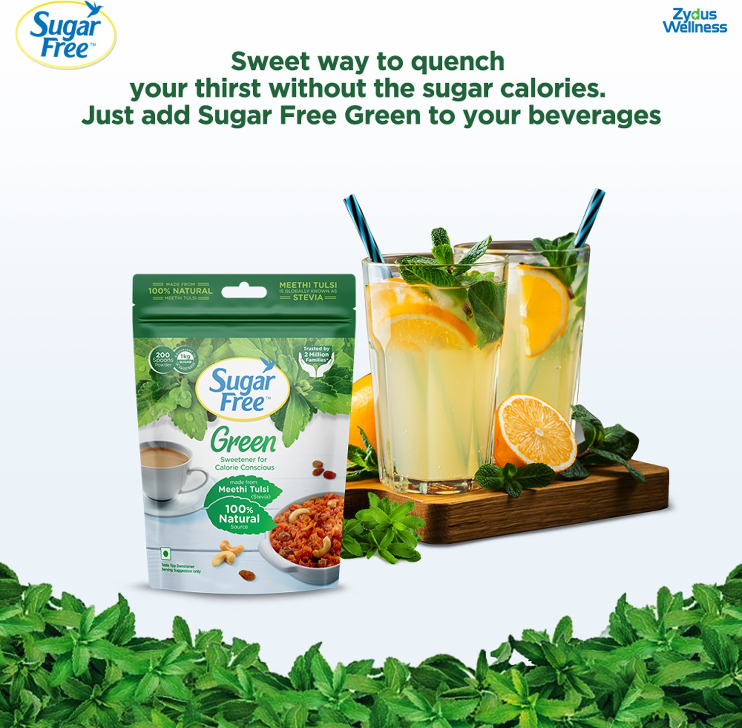 Image of Sugar free Green Stevia, 400 g Pouch |Made from 100% Natural Meethi Tulsi (Stevia) leaves Sweetener