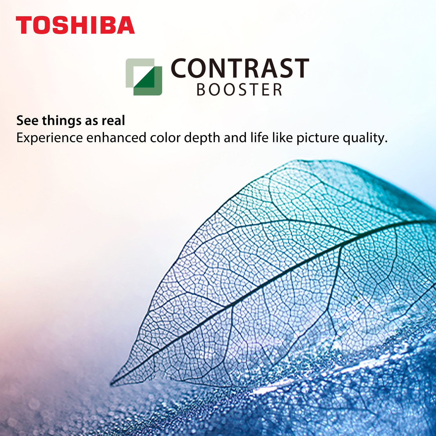 Image of TOSHIBA L50 Series 80 cm (32 inch) HD Ready LED Smart VIDAA TV with ADS Panel
