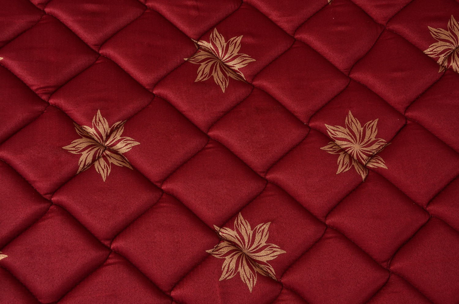 Image of SPRINGTEK Amaze Eco 4 inch Queen High Density (HD) Foam Mattress