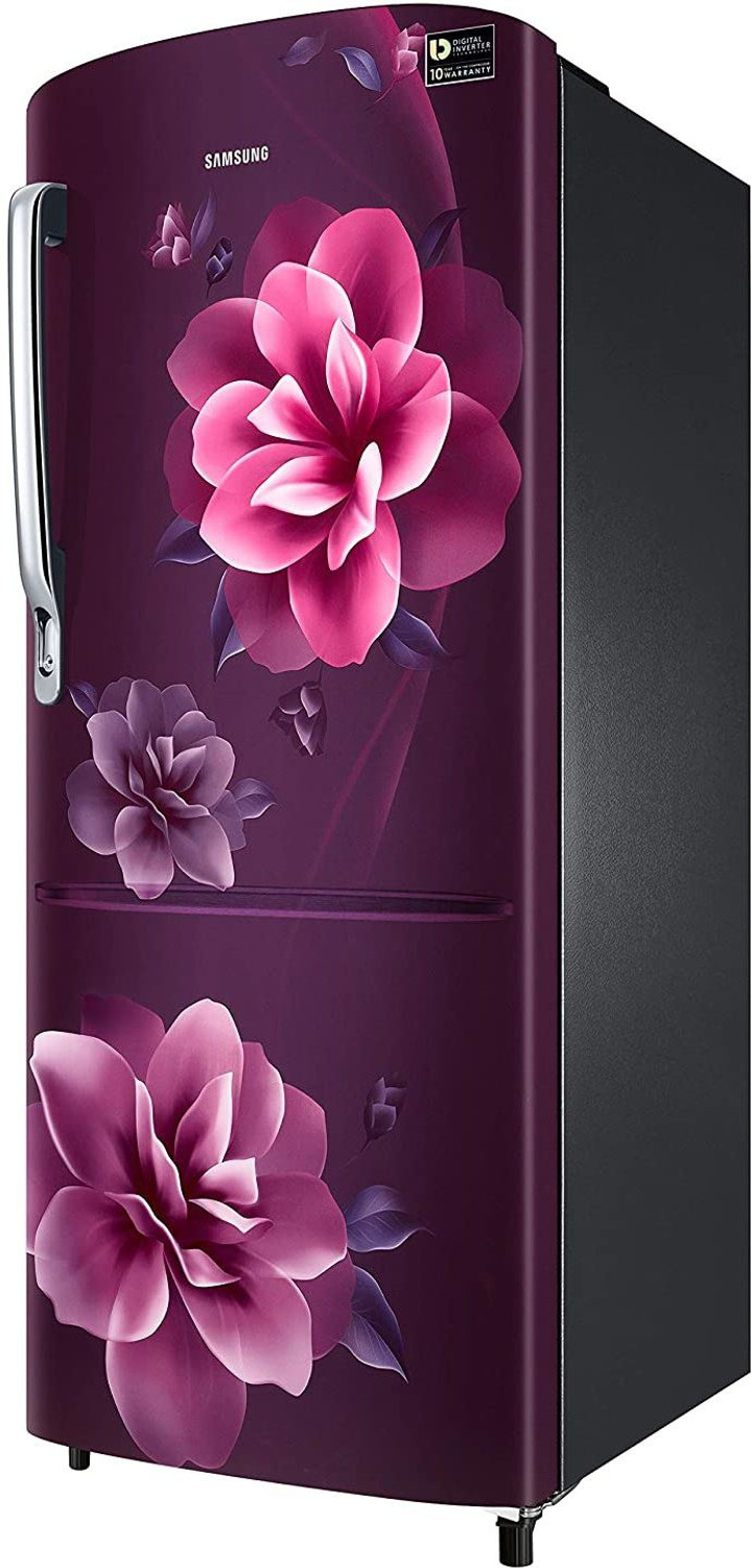 Image of SAMSUNG 230 L Direct Cool Single Door 3 Star Refrigerator (Camellia Purple, RR24A272YCR /NL)