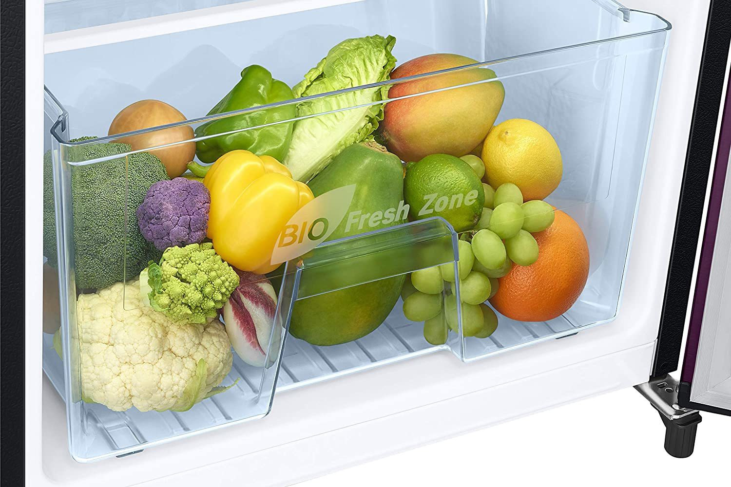 Image of SAMSUNG 230 L Direct Cool Single Door 3 Star Refrigerator (Camellia Purple, RR24A272YCR /NL)