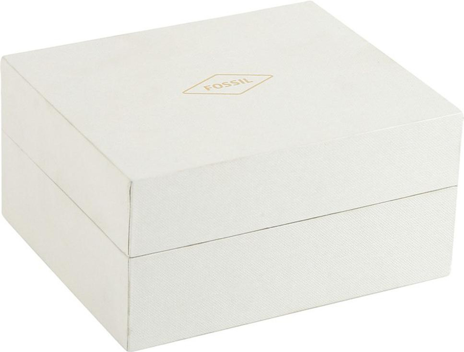 Image of FOSSIL Briggs Analog Watch - For Men