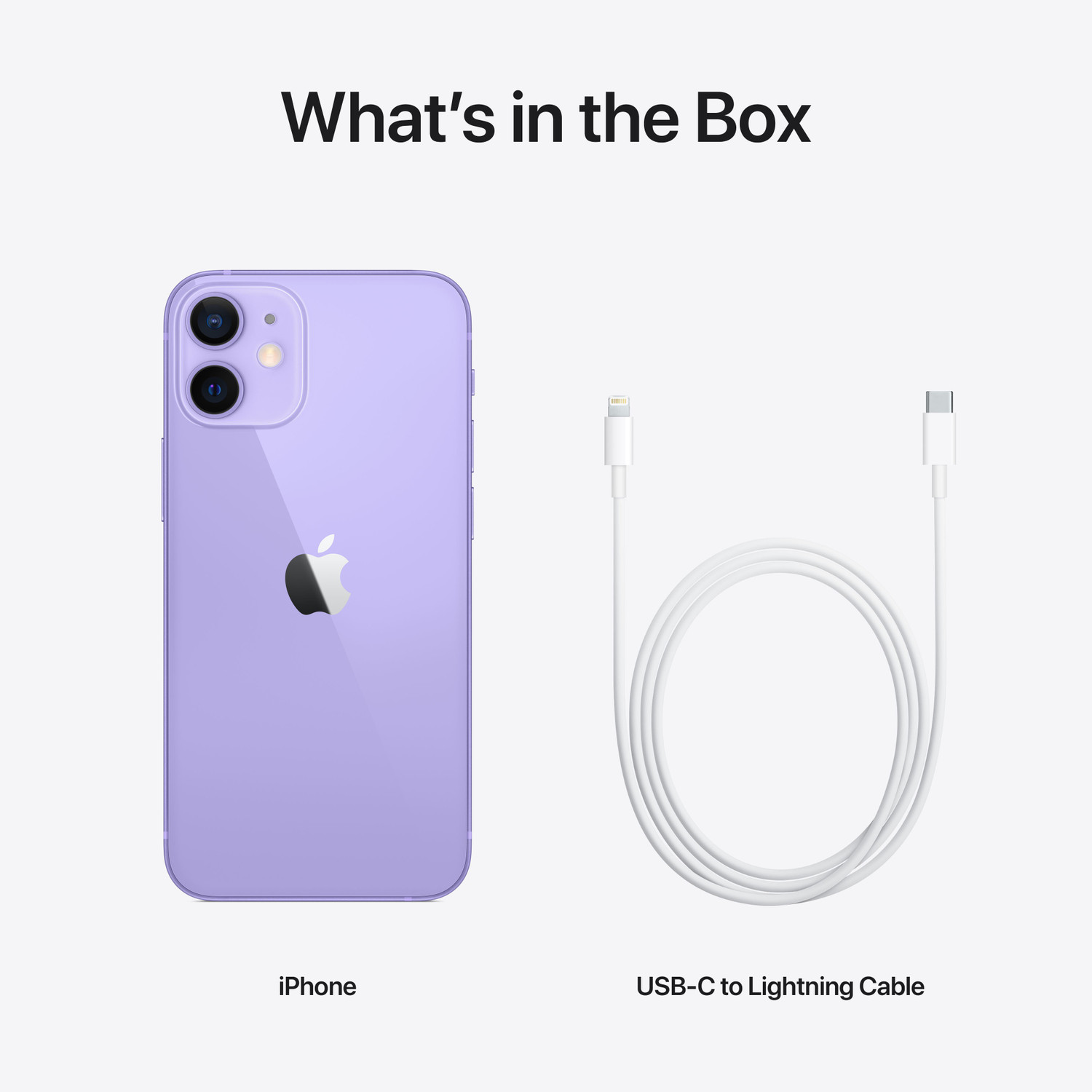 Image of Apple iPhone 12 mini (Purple, 64 GB)