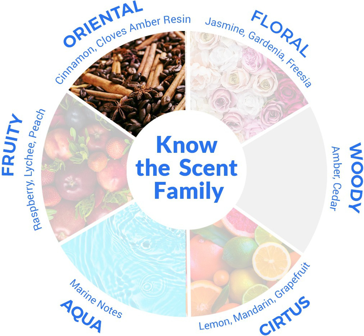 Image of JAGUAR Classic Black Eau de Toilette - 100 ml