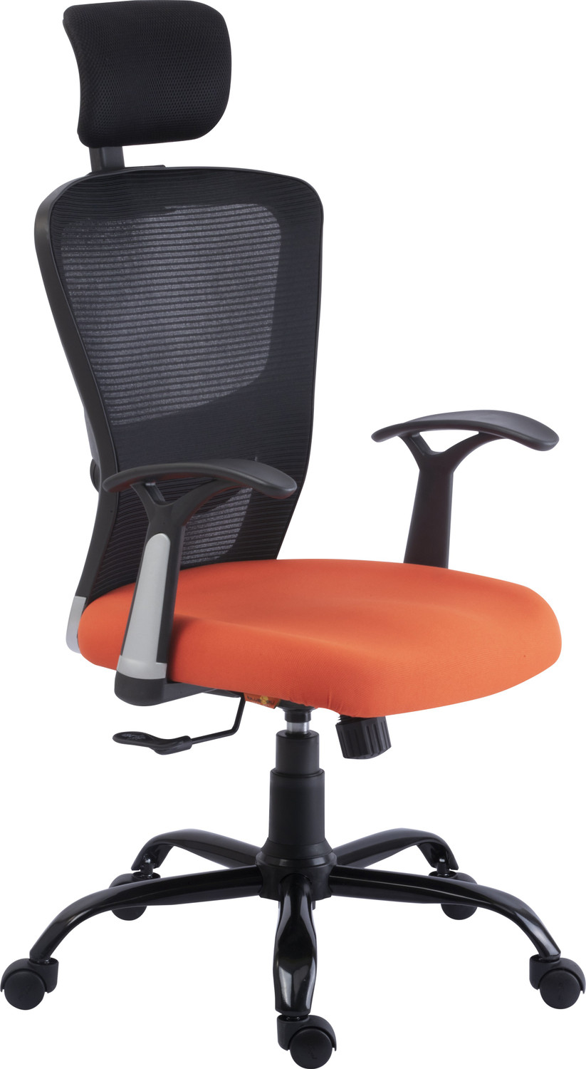 Image of Bluebell POLO Ergonomic high back revolving office | executive | study chair (Orange) Nylon, Mesh Office Executive Chair