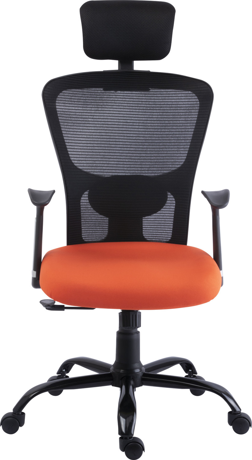 Image of Bluebell POLO Ergonomic high back revolving office | executive | study chair (Orange) Nylon, Mesh Office Executive Chair