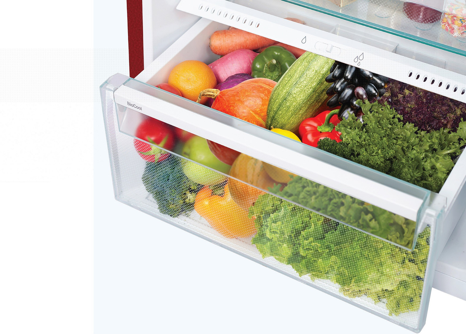 Image of Liebherr 265 L Frost Free Double Door Top Mount 3 Star Refrigerator