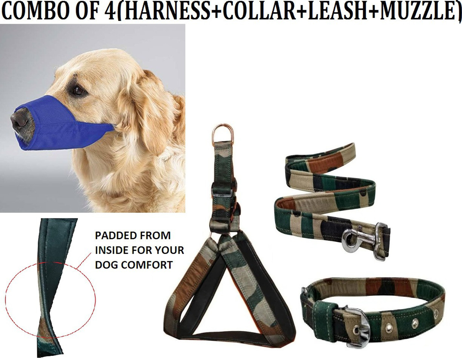 Dog neck belt flipkart online