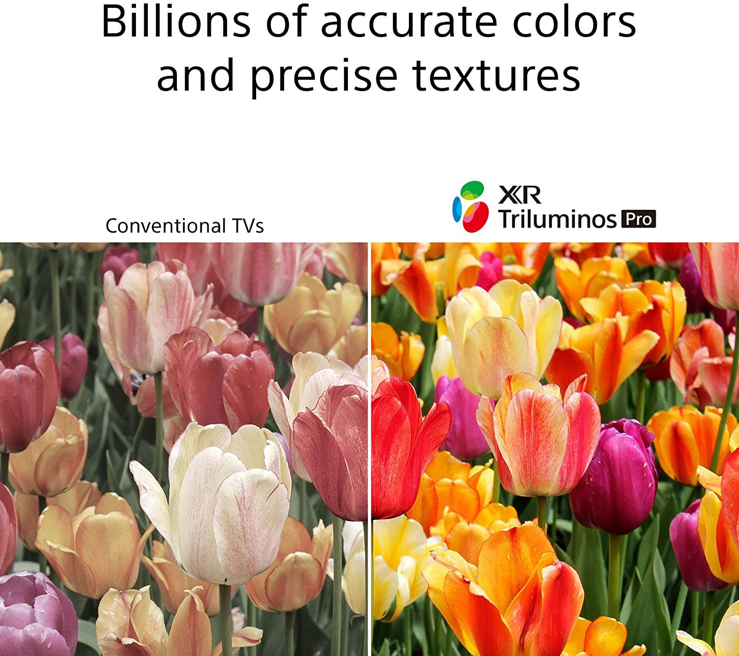 Image of SONY Bravia 164 cm (65 inch) Ultra HD (4K) LED Smart Google TV (XR-65X90J)