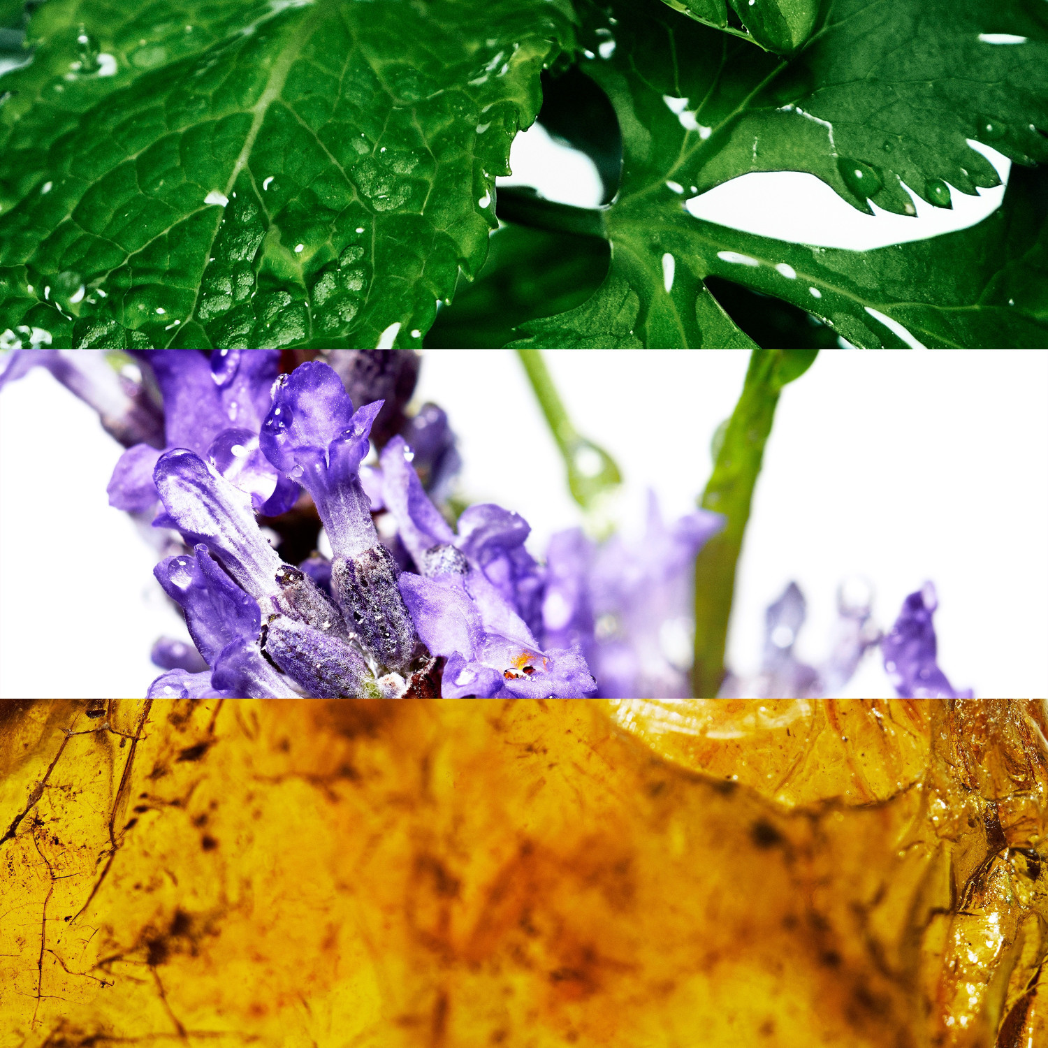 Image of DAVIDOFF Cool water Eau de Toilette - 125 ml