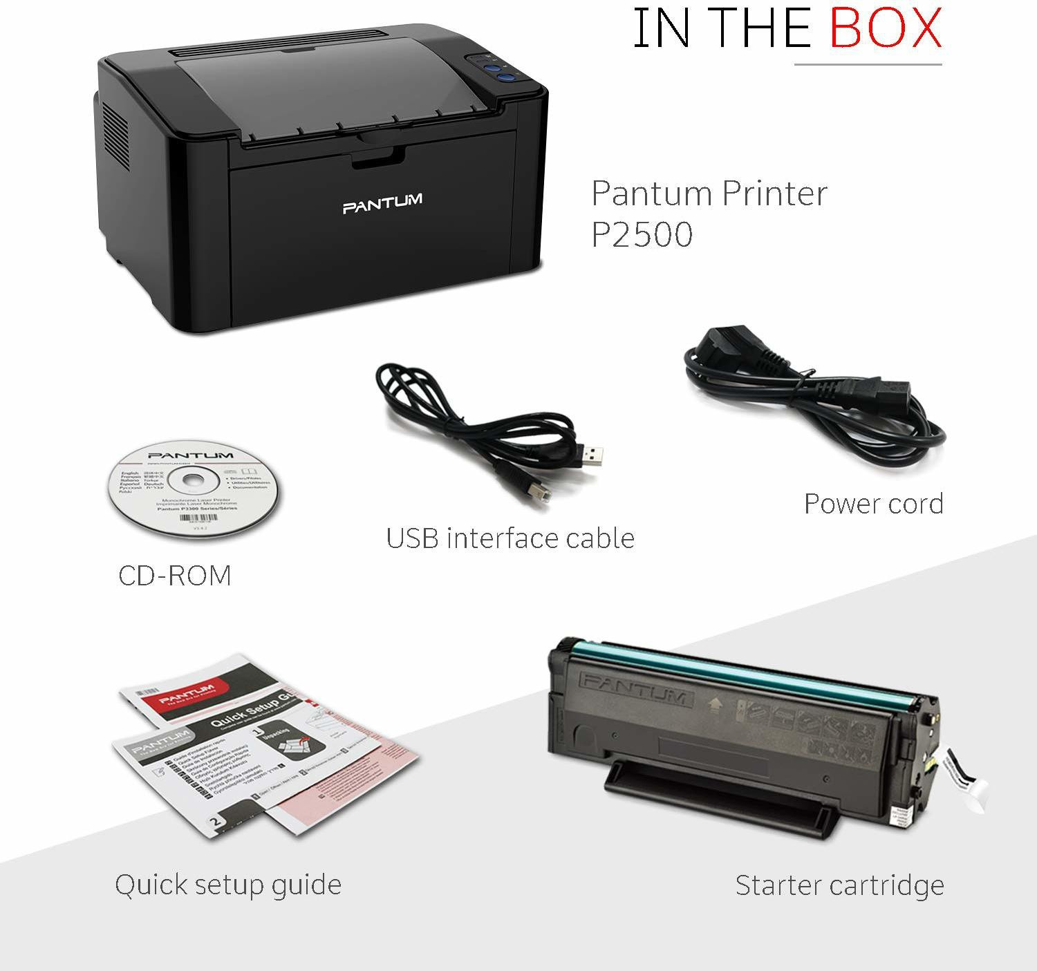 Image of PANTUM P25500 SERIES 2518 Single Function Monochrome Laser Printer (Black, Toner Cartridge)