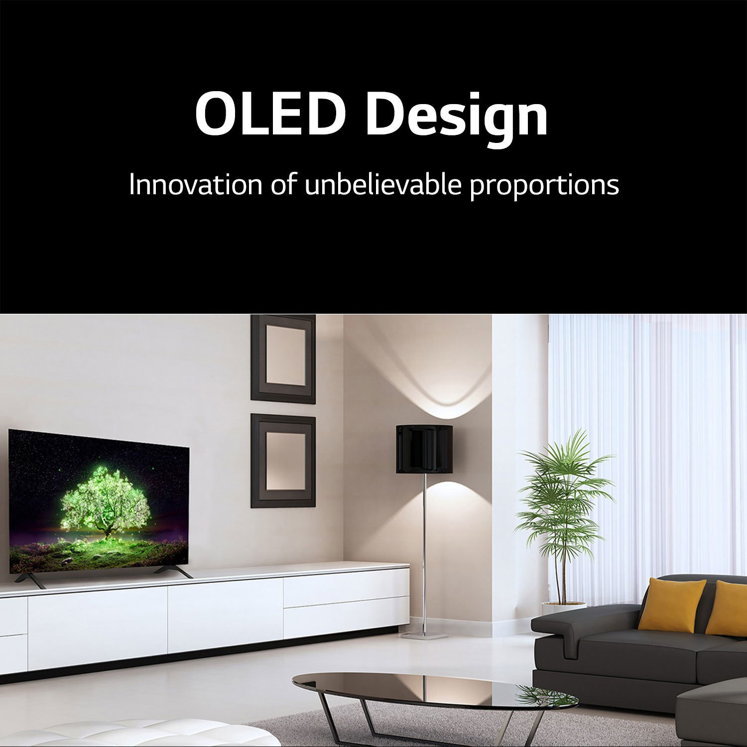 Image of LG OLED A1 Series 164 cm (65 inch) OLED Ultra HD (4K) Smart WebOS TV (OLED65A1PTZ)