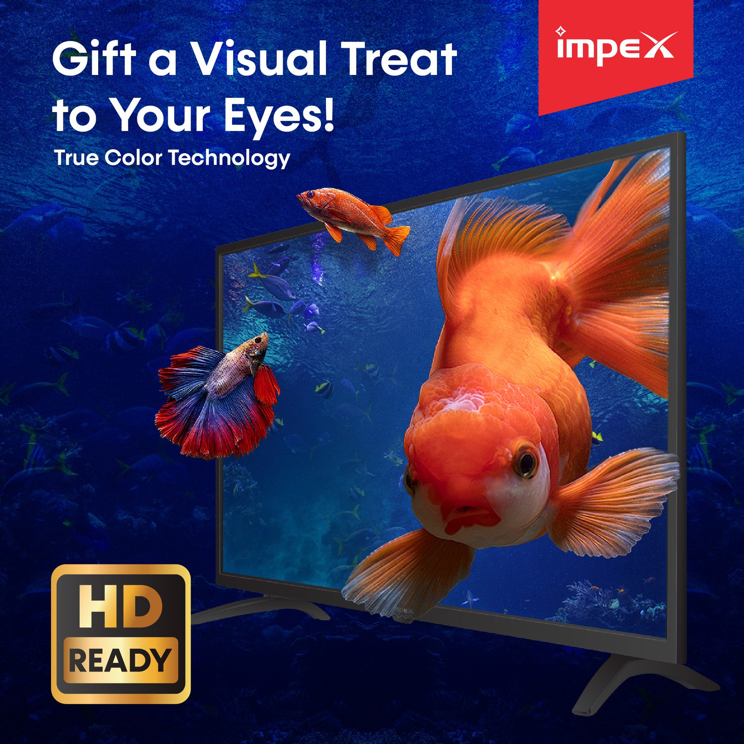 Image of IMPEX Gloria Series 81.28 cm (32 inch) HD Ready LED TV