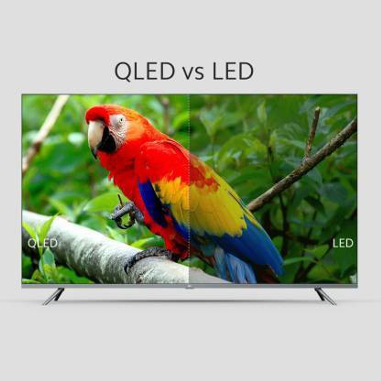 Image of XIAOMI by Mi Q1 138.8 cm (55 inch) QLED Ultra HD (4K) Smart Android TV with Dolby Vision and 30W Audio