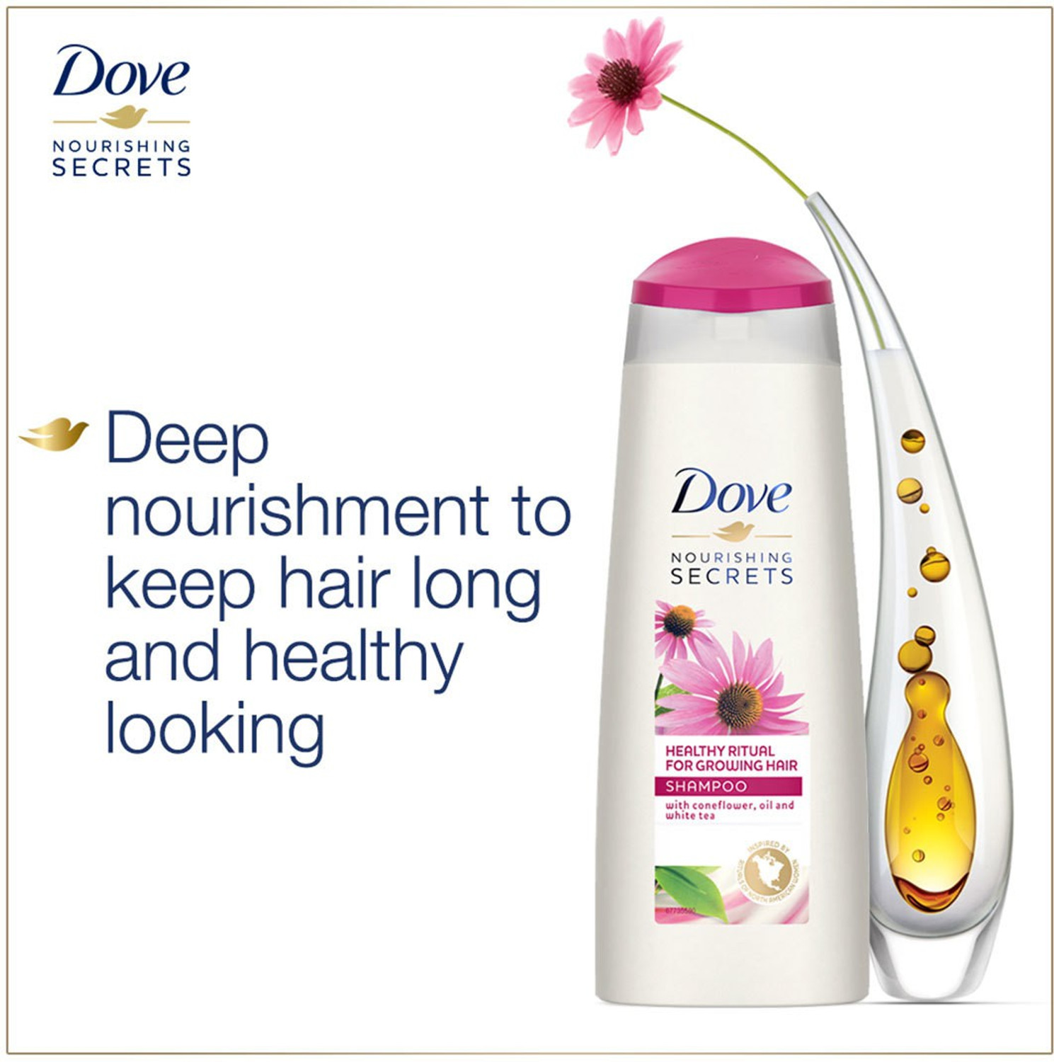 Image of DOVE Healthy Ritual for Growing Hair Shampoo