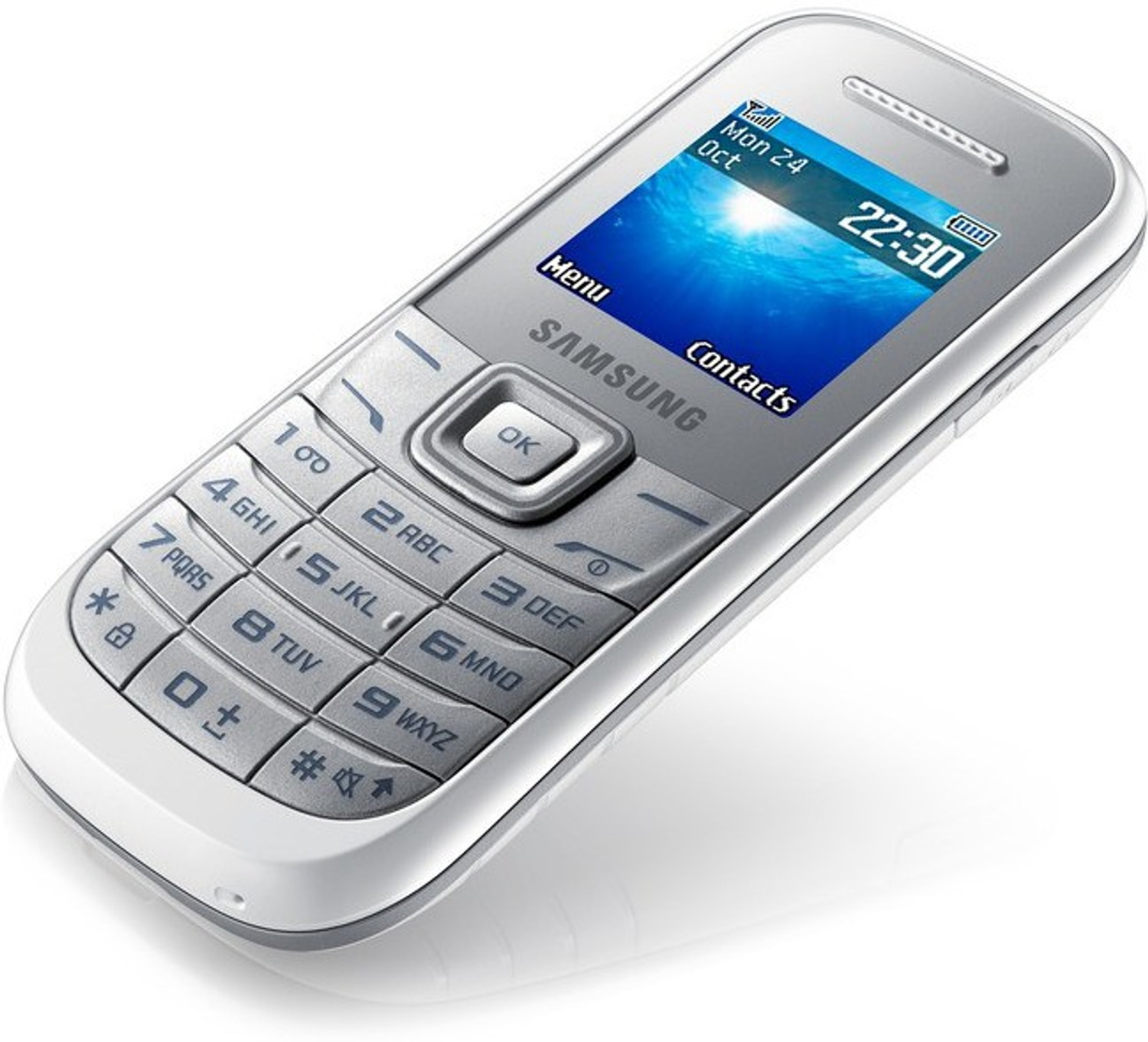 Image of SAMSUNG GURU GT (White)