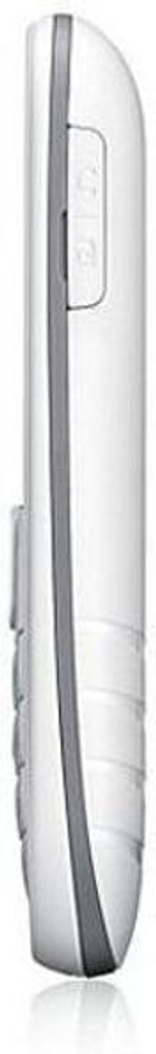 Image of SAMSUNG GURU GT (White)