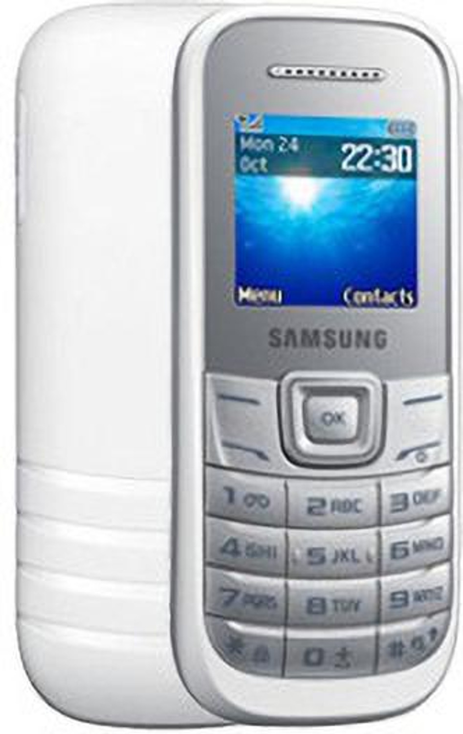 Image of SAMSUNG GURU GT (White)
