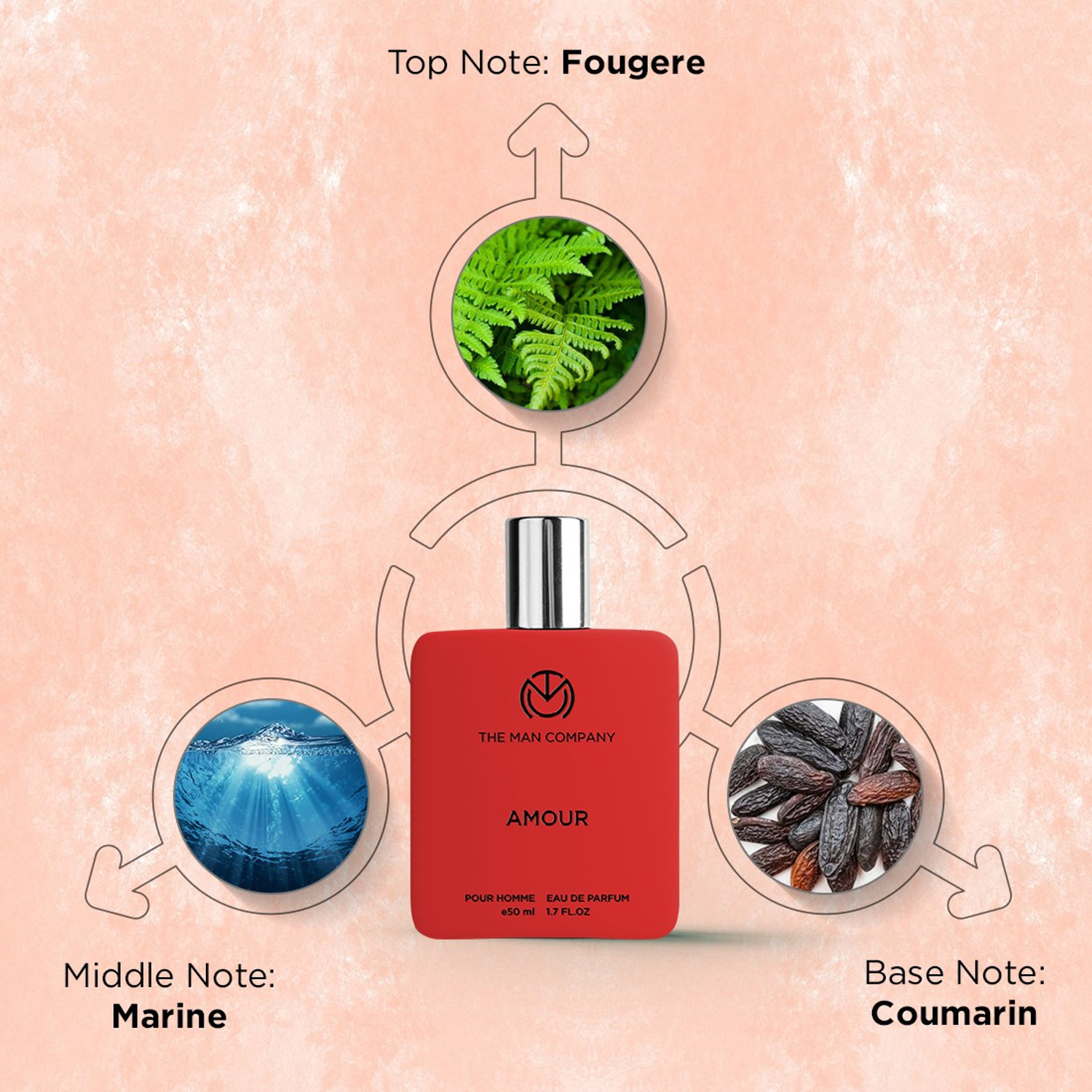 Image of THE MAN COMPANY Amour | Perfume for Men | Premium Fragrance | Long Lasting Freshness | Eau de Parfum - 50 ml