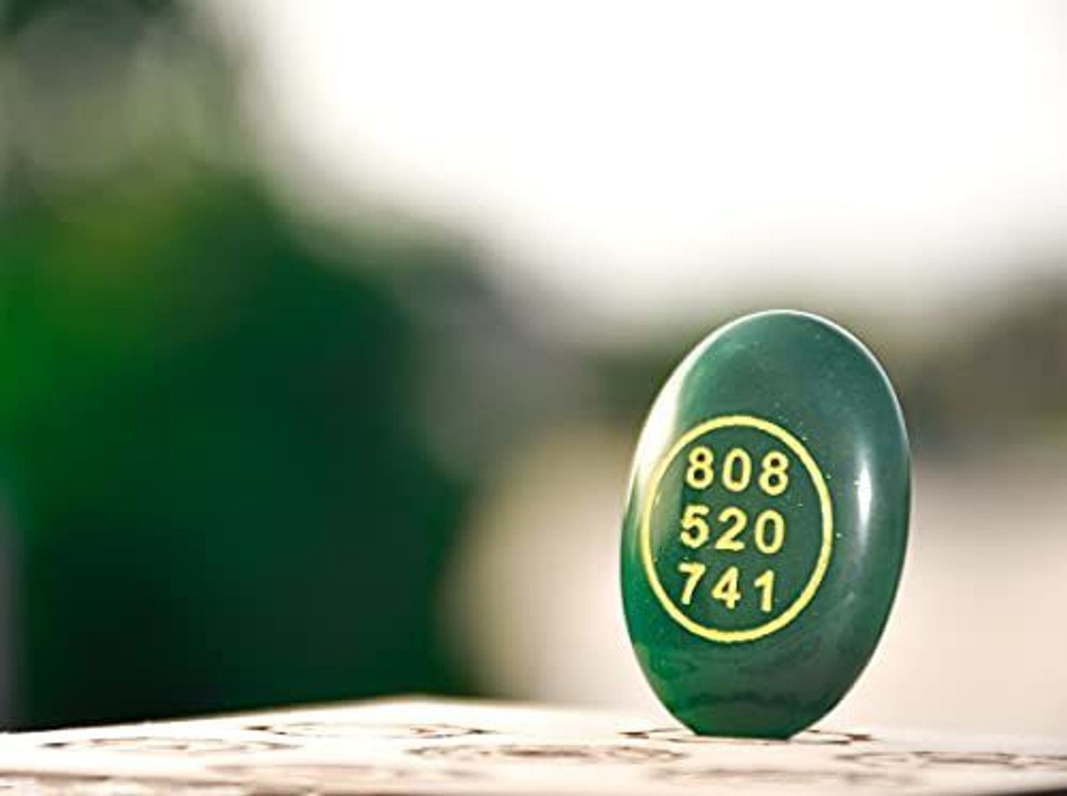 Image of kiah fashions Dark Green zibu coin