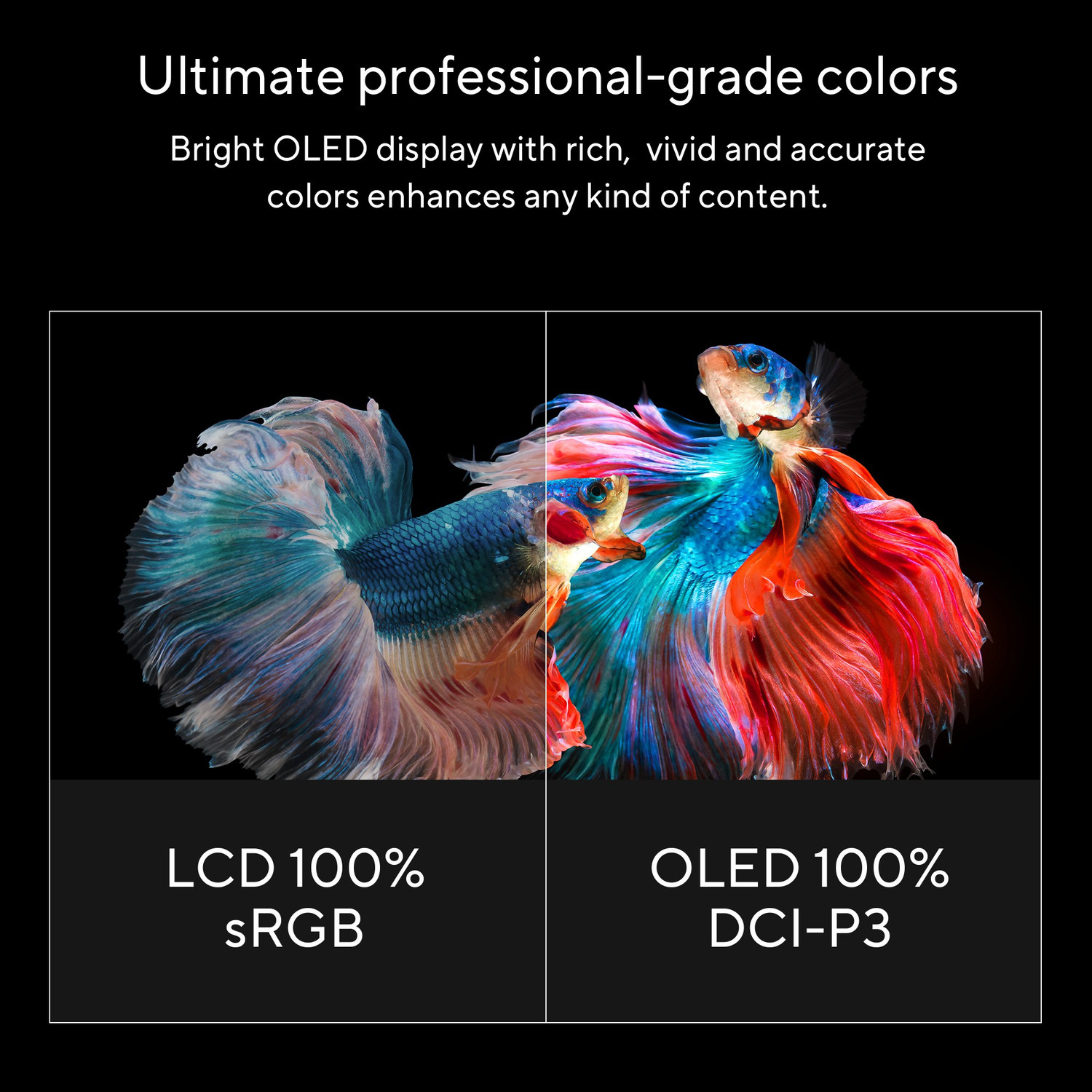 Image of ASUS VivoBook K15 OLED Intel Core i3 11th Gen 1115G4 - (8 GB /512 GB SSD /Windows 11 Home) K513EA-L312WS Thin and Light Laptop