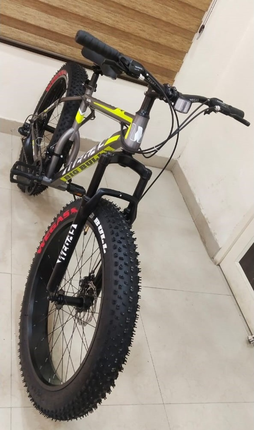 Vivid bull best sale fat bike