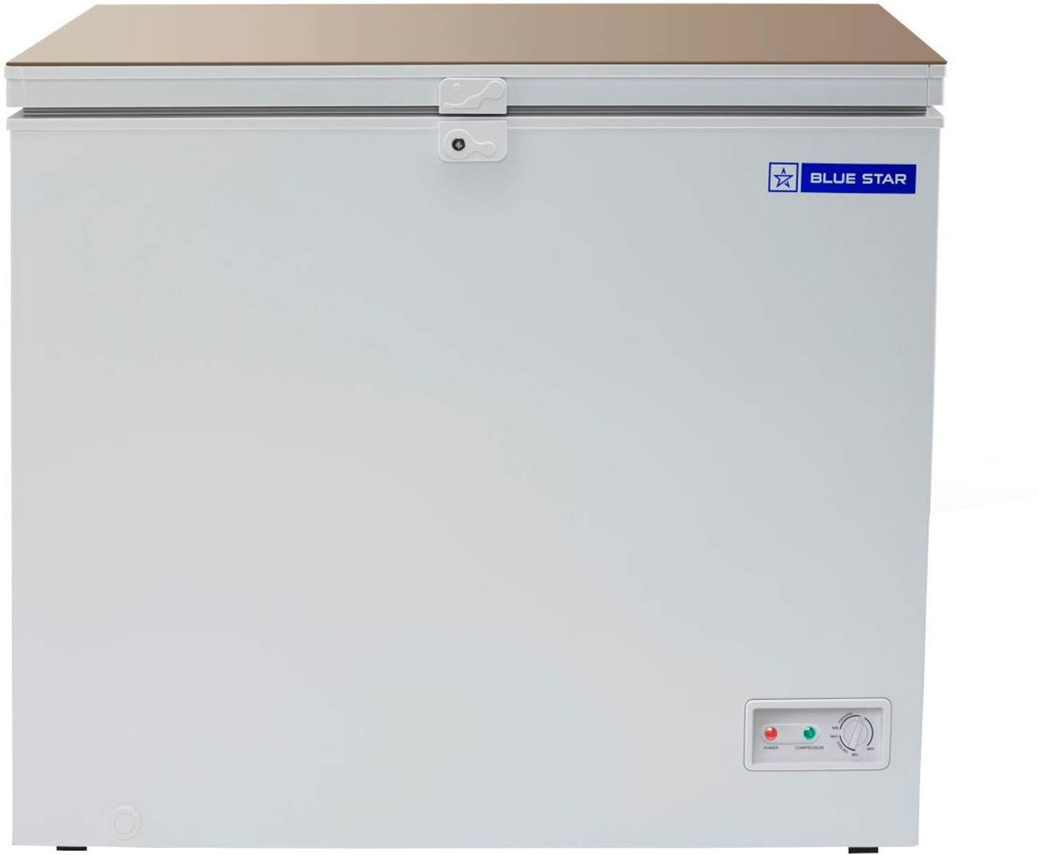 Image of Blue Star 95 L Single Door Standard Deep Freezer