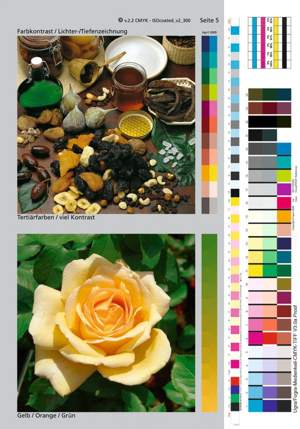 Image of verena Refill Ink 008FOREpsonL6460 /L6490 /L6550 /L6570 /L6580 /L11160 /L15150 /L15160 Printer Black + Tri Color Combo Pack Ink Bottle