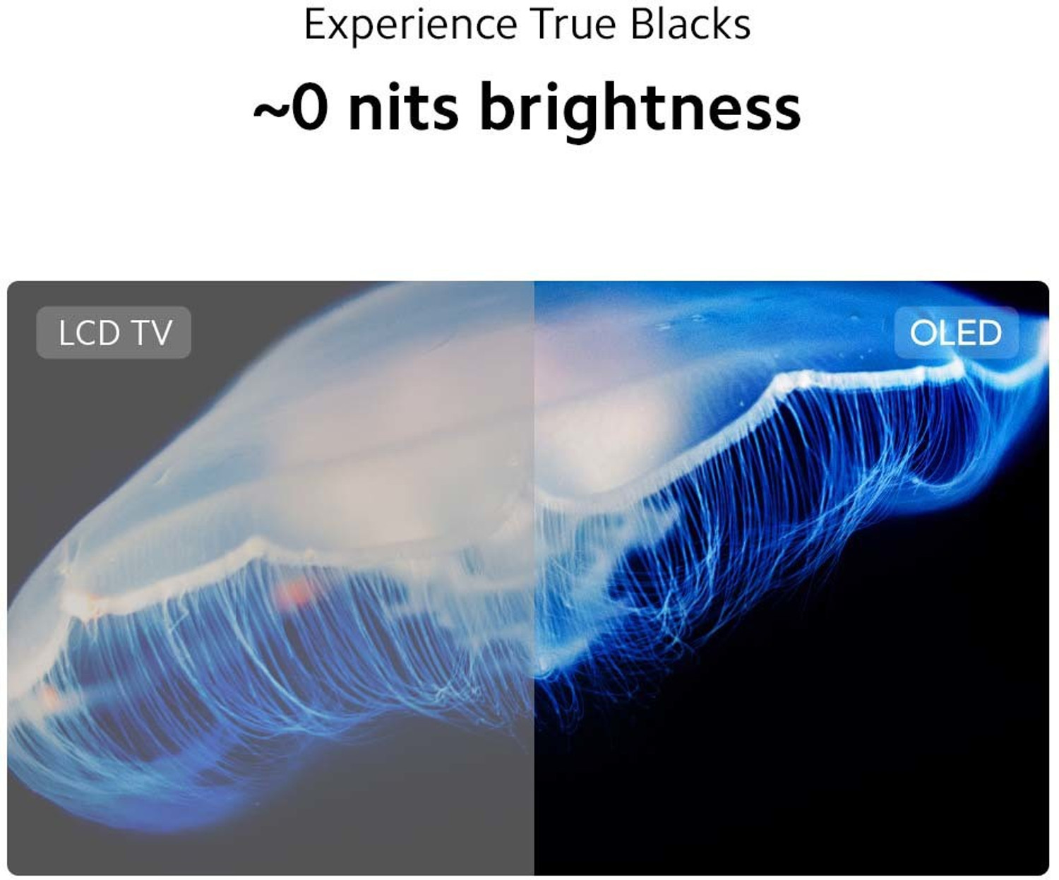 Image of Xiaomi OLED Vision 138.8 cm (55 inches) 4K Ultra HD Smart Android TV with Dolby Vision IQ and Dolby Atmos (2022 Model) (O55M7-Z2IN)