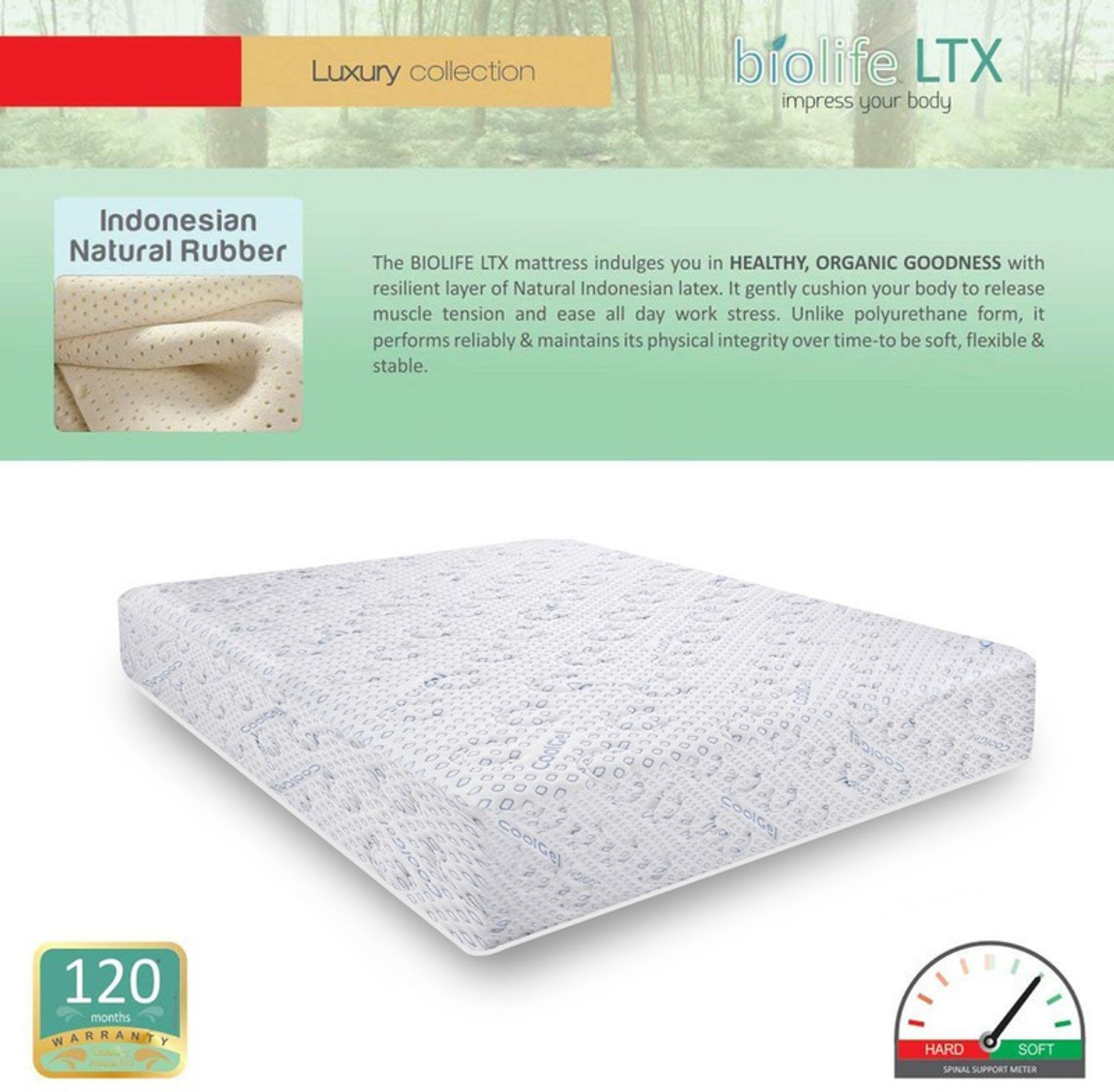 Image of COIRFIT BIOLFE 7-Zone LATEX with Talalay Tech 6 inch Single Latex Foam Mattress