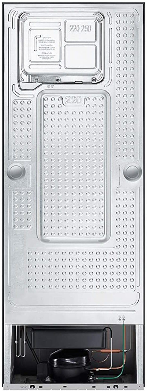 Image of Samsung 244 L Frost Free Double Door 3 Star Refrigerator with Curd Maestro