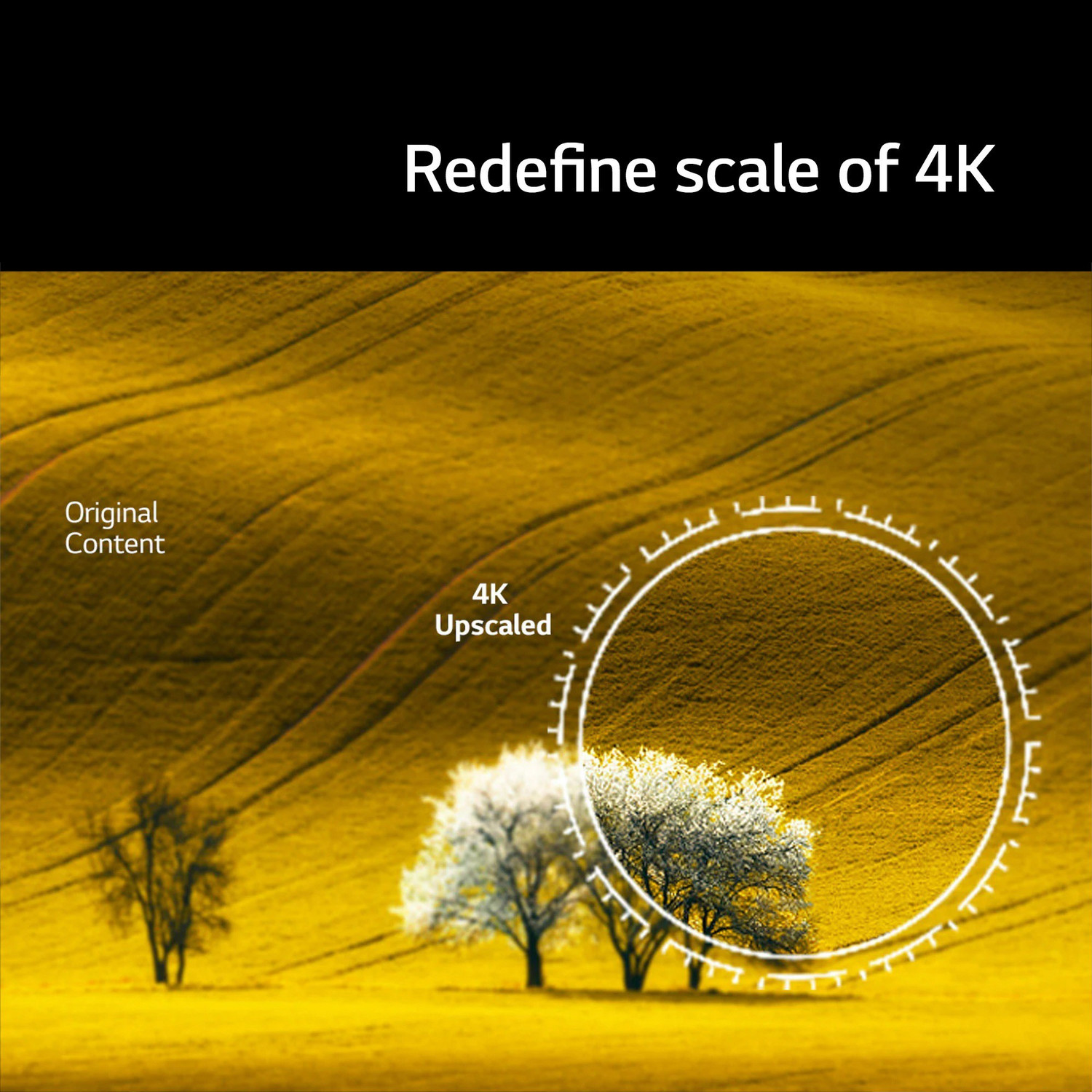 Image of LG UQ7500 108 cm (43 inch) Ultra HD (4K) LED Smart WebOS TV with Mode, AI Sound & Active HDR