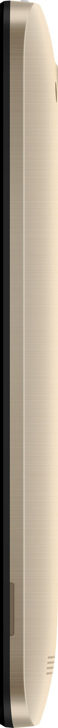 Image of ASUS Zenfone Go 4.5 LTE (Gold, 8 GB)