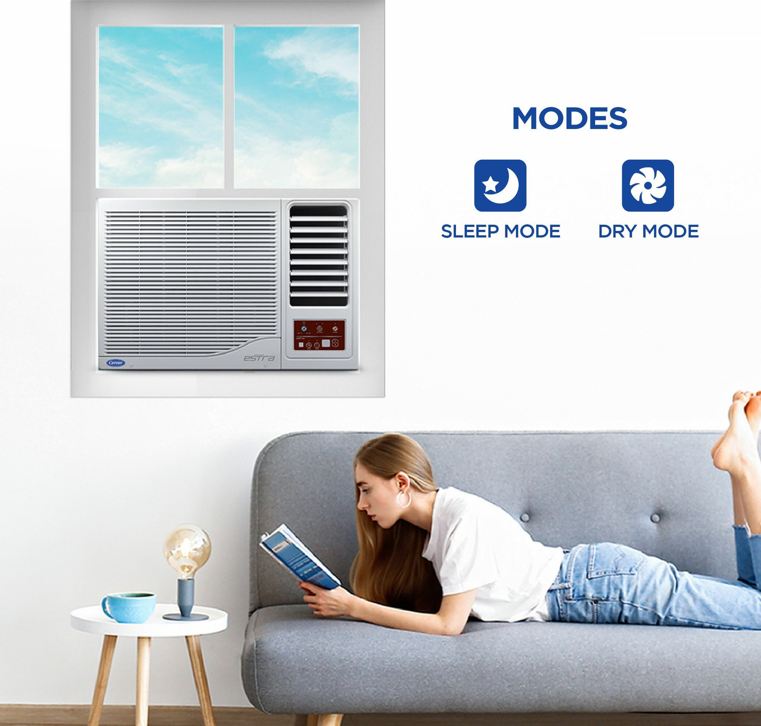 Image of CARRIER 2023 Model 1 Ton 3 Star Window 2 Way Air Directional control with Dust Filter(2023 Model) AC