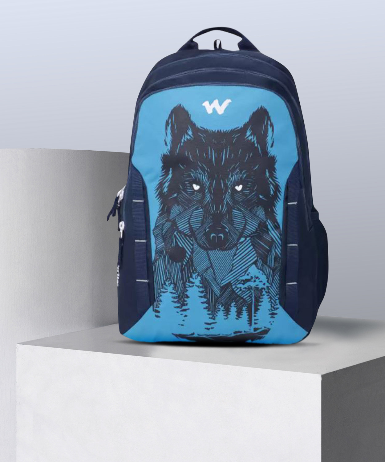 Daredevil 43L Laptop Backpack – Blue, Water‑Resistant, ₹899