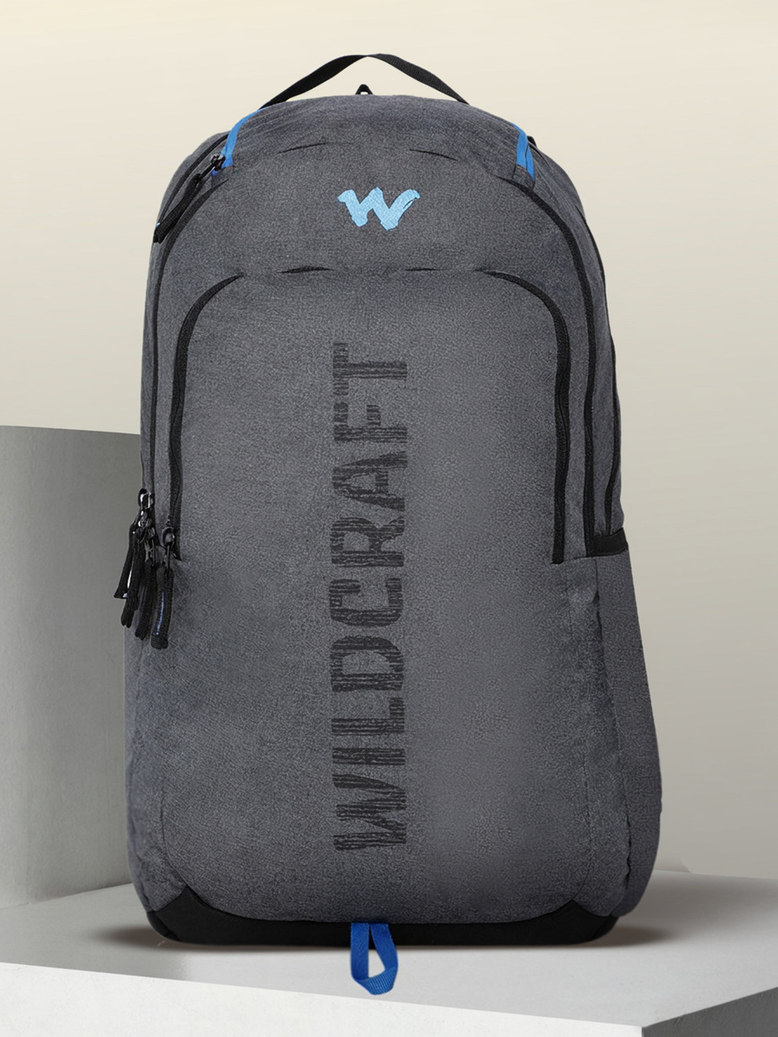 Spacy_Mel Medium 30L Backpack – Grey, 30L Capacity, ₹890