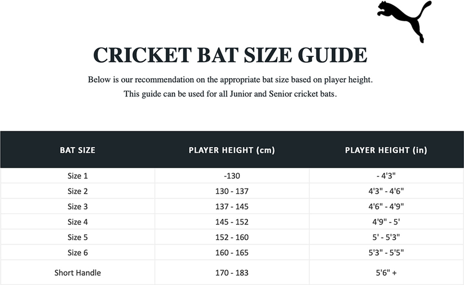 Image of PUMA Future PB SNR 1.1 PVC /Plastic Cricket Bat For 15+ Yrs